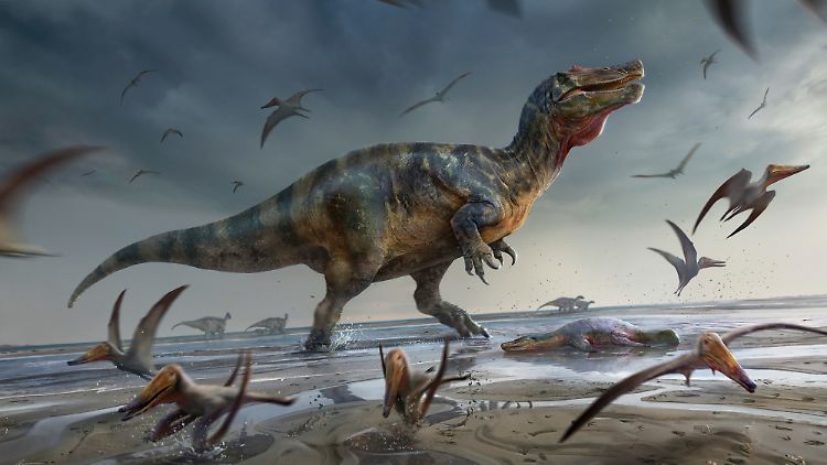 Ein Spinosaurus konnte mehr als zehn Meter lang werden - ähnliche Dimensionen wie der berühmte Tyrannosaurus rex.