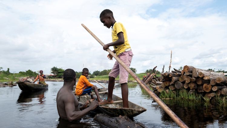 2022-06-08T070608Z_2116316636_RC2R7Q9LDCKE_RTRMADP_3_NIGERIA-ENVIRONMENT-TREES.JPG