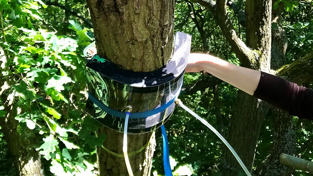 nicht-weiterverwenden