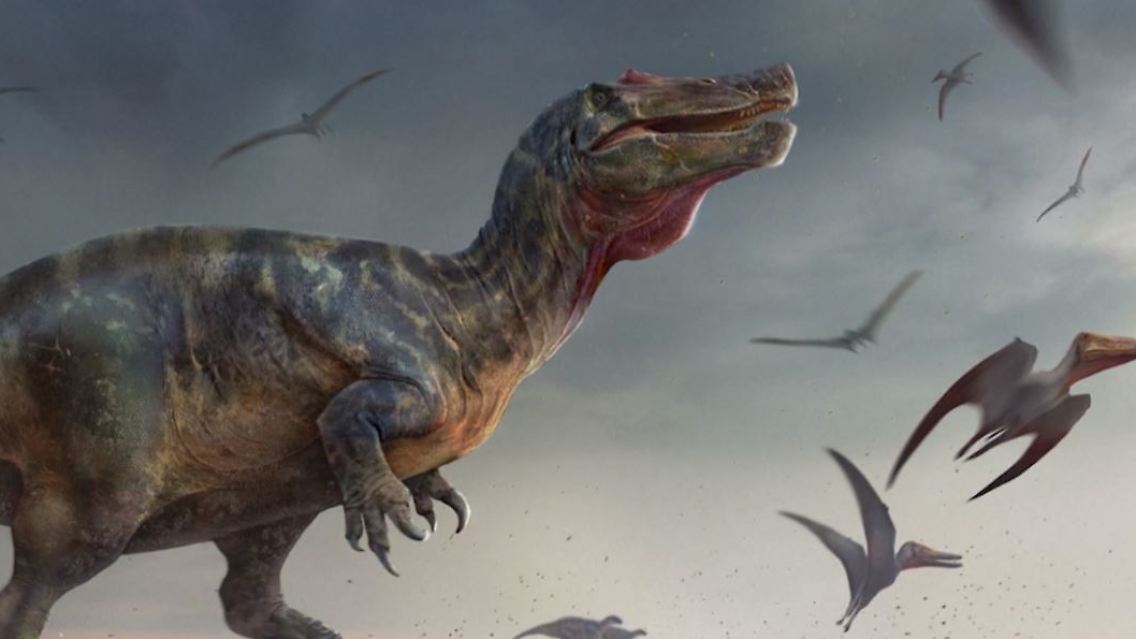 dino.JPG