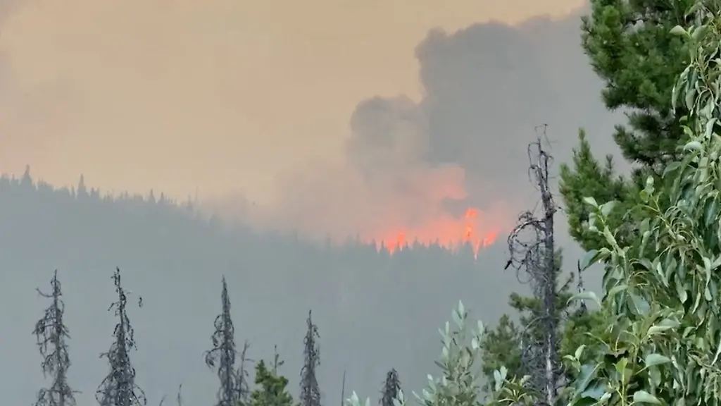 b07c0e4228c7470e0b3d1d54a814d906