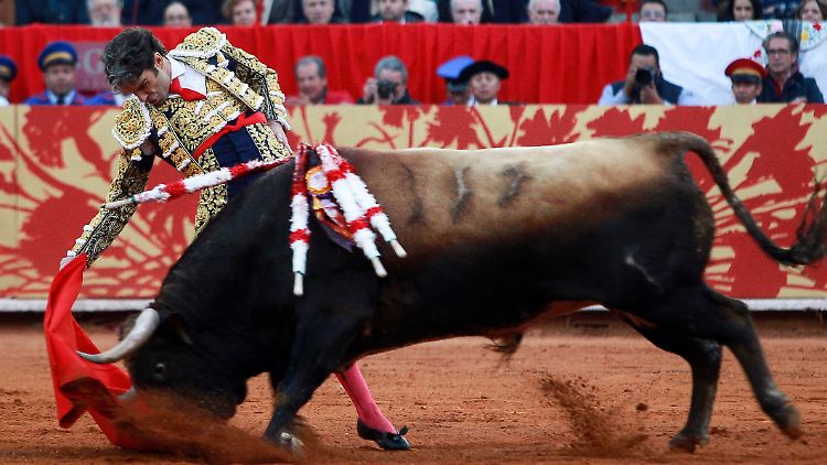 Bis über die Verfassungsmäßigkeit der Kämpfe entschieden wird, wird die Plaza México vorerst leer bleiben.
