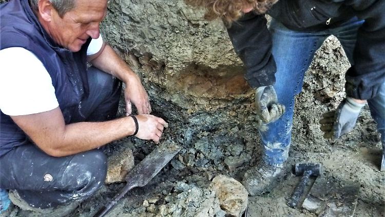 In den Gesteinsschichten sind Stäube aus einem Asteroideneinschlag sowie darüber Asche aus massiven Vulkanausbrüchen konserviert.