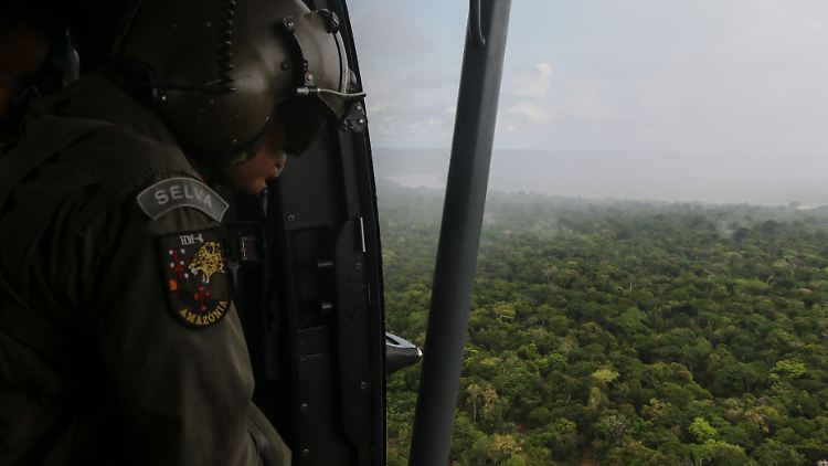 Einsatzkräfte der brasilianischen Armee suchen in dichtem Urwald nach den beiden Männern.