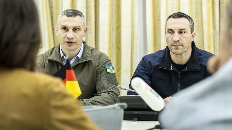 Vitali und Wladimir Klitschko (l-r) fordern mehr Unterstützung für ihr Land.
