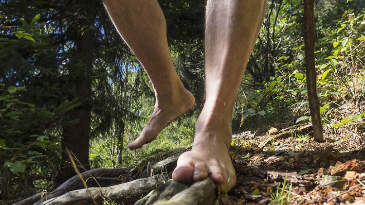 Das Barfußwandern stimuliert den Tastsinn der Fußsohlen und schafft einen intensiven Kontakt zur Natur.