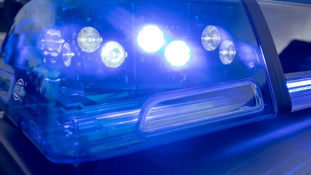 Ein-unruhiges-Pferd-hat-voruebergehend-den-Autobahnverkehr-gestoert