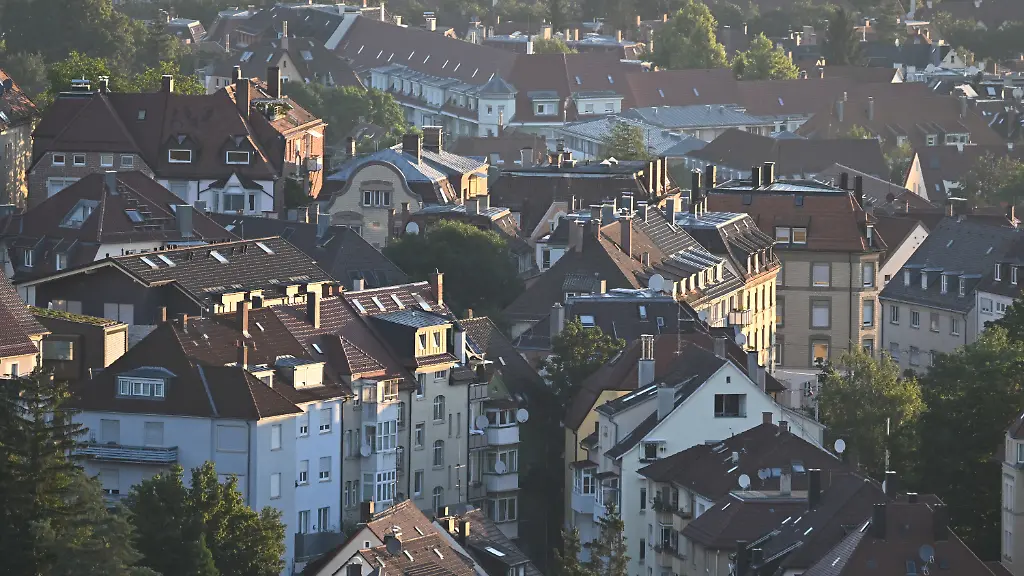 1593efd8d6fe8c4cba87c61efc2b54d6