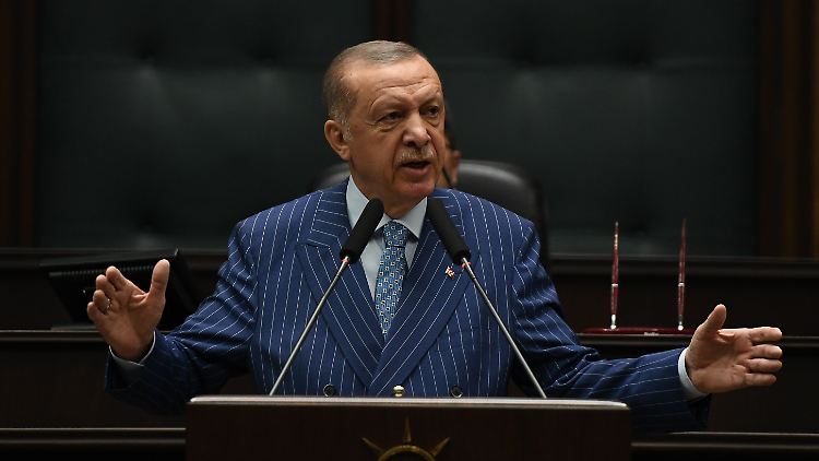 Der türkische Präsident Recep Tayyip Erdogan hatte soziale Medien in der Vergangenheit etwa als Bedrohung für die Demokratie bezeichnet.