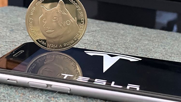 Musk sowie seine Unternehmen Tesla und SpaceX hätten den Preis für das Digitalgeld hochgetrieben und dann abstürzen lassen, lautet der Vorwurf des Klägers.
