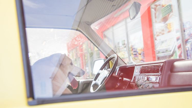 Wer als Passant im Sommer ein Auto mit allein zurückgelassenen Kindern oder Tieren entdeckt, sollte je nach Situation schnell handeln.