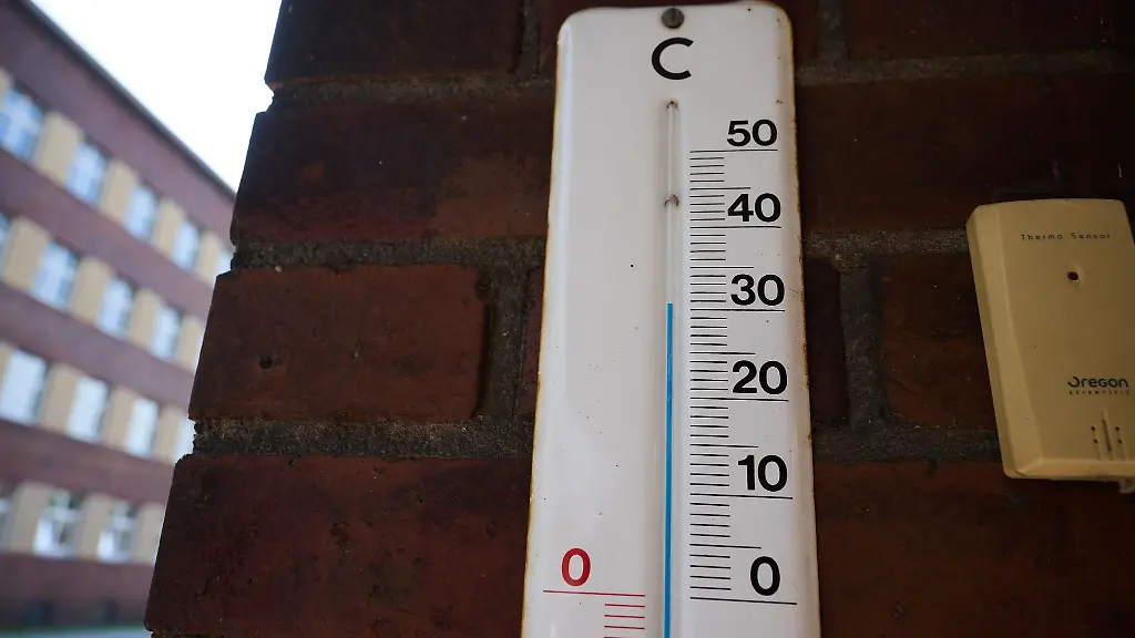 Die-Initiative-Volksentscheid-Baum-fordert-besseren-Hitzeschutz-in-Berlin