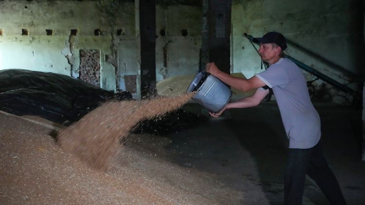 Schwer verkäufliche Ernte: Ein Bauer in der Ostukraine verfügt über volle Silos.