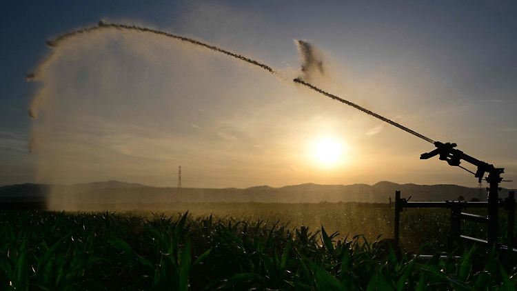 In den kommenden acht Jahren könne die Hälfte der Menschheit von Wasserknappheit betroffen sein, sagte Thiaw vom Umweltprogramm der Vereinten Nationen zur Bekämpfung der Wüstenbildung.