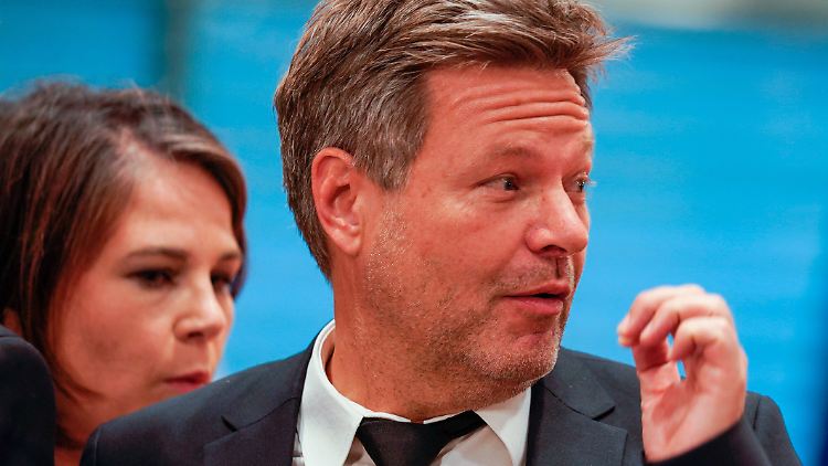 Die Späher konnten live mitlesen, was Baerbock und Habeck über ihre Parteimailadressen schrieben.