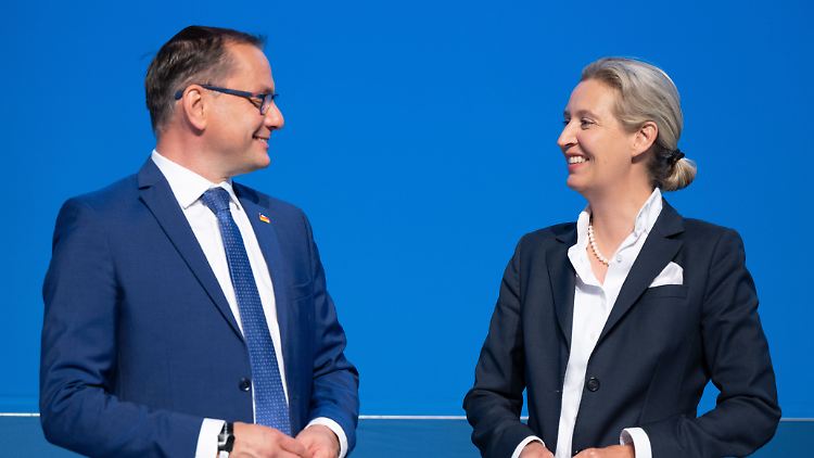 Chrupalla wurde Ende 2019 zusammen mit Jörg Meuthen zum AfD-Bundessprecher gewählt. Er und Alice Weidel führen die AfD-Bundestagsfraktion an.