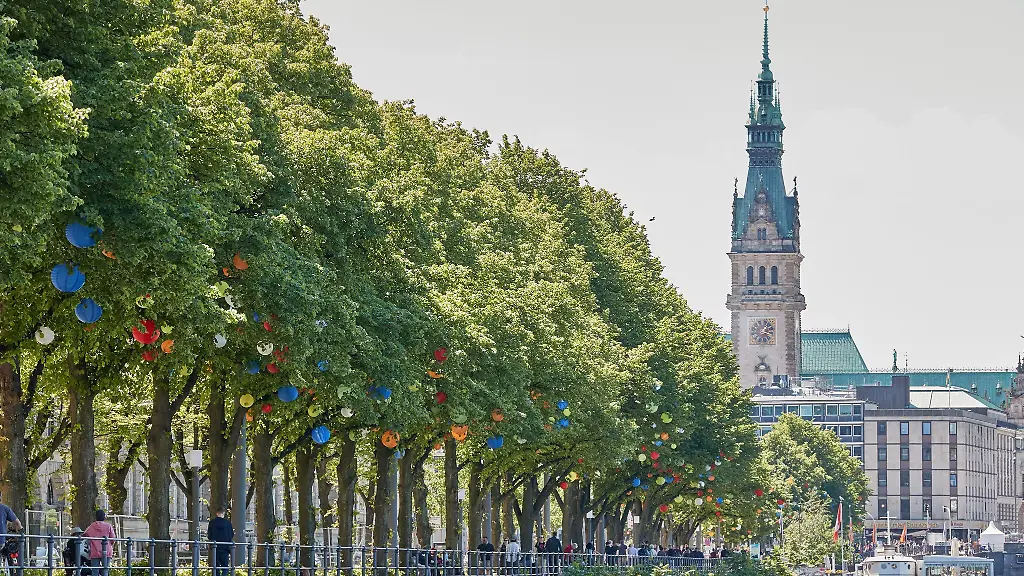Erstmals-seit-2011-hat-die-Stadt-Hamburg-mehr-Baeume-pflanzen-als-faellen-lassen