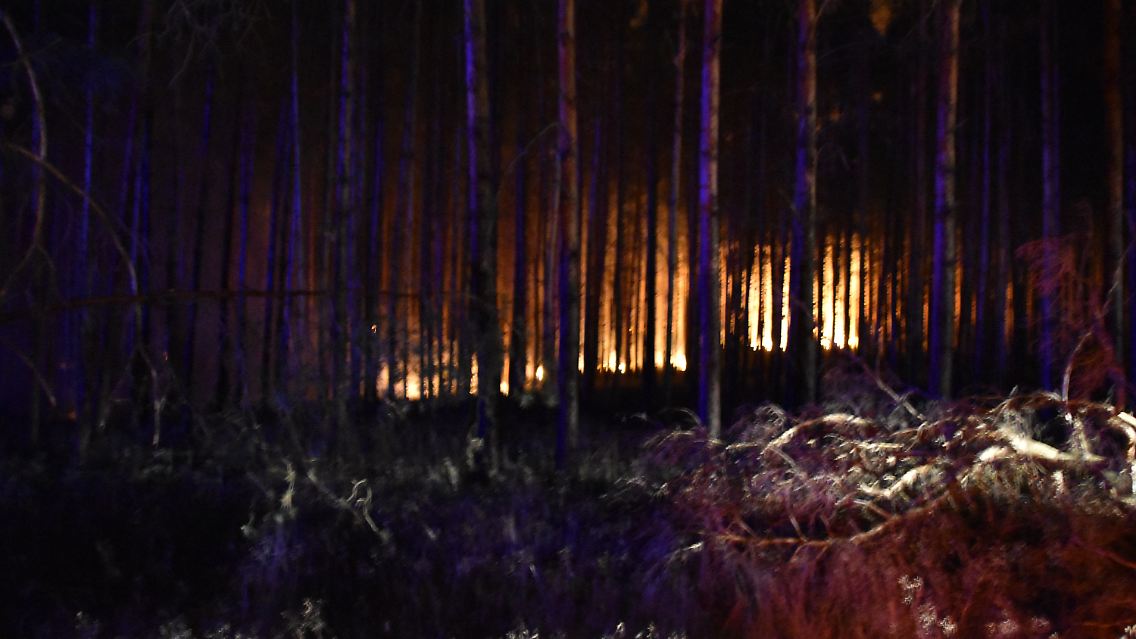 Der Landrat des Landkreises Potsdam-Mittelmark hat wegen des Brandes den Katastrophenfall ausgerufen.
