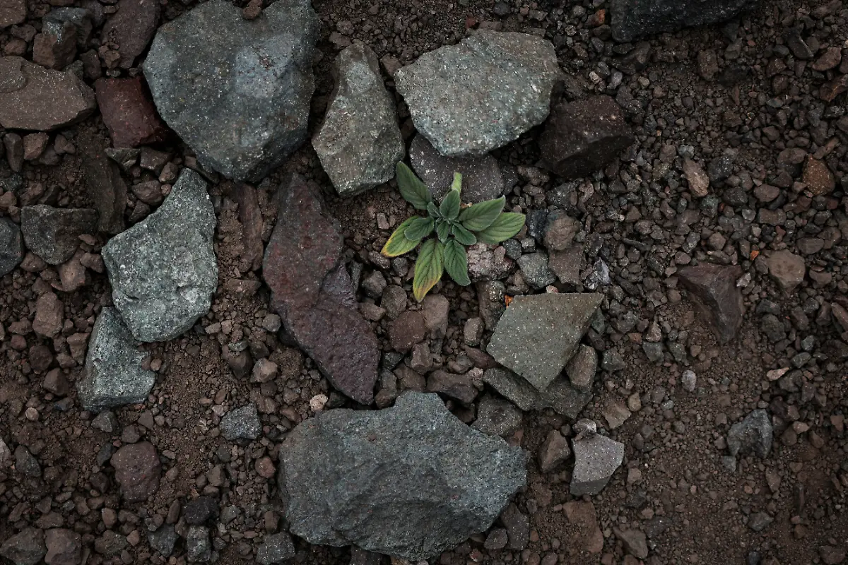 2024-07-18T101850Z-1086927783-RC22Z6AX8005-RTRMADP-3-ANDES-CLIMATE-CHANGE-MOUNTAINEERING