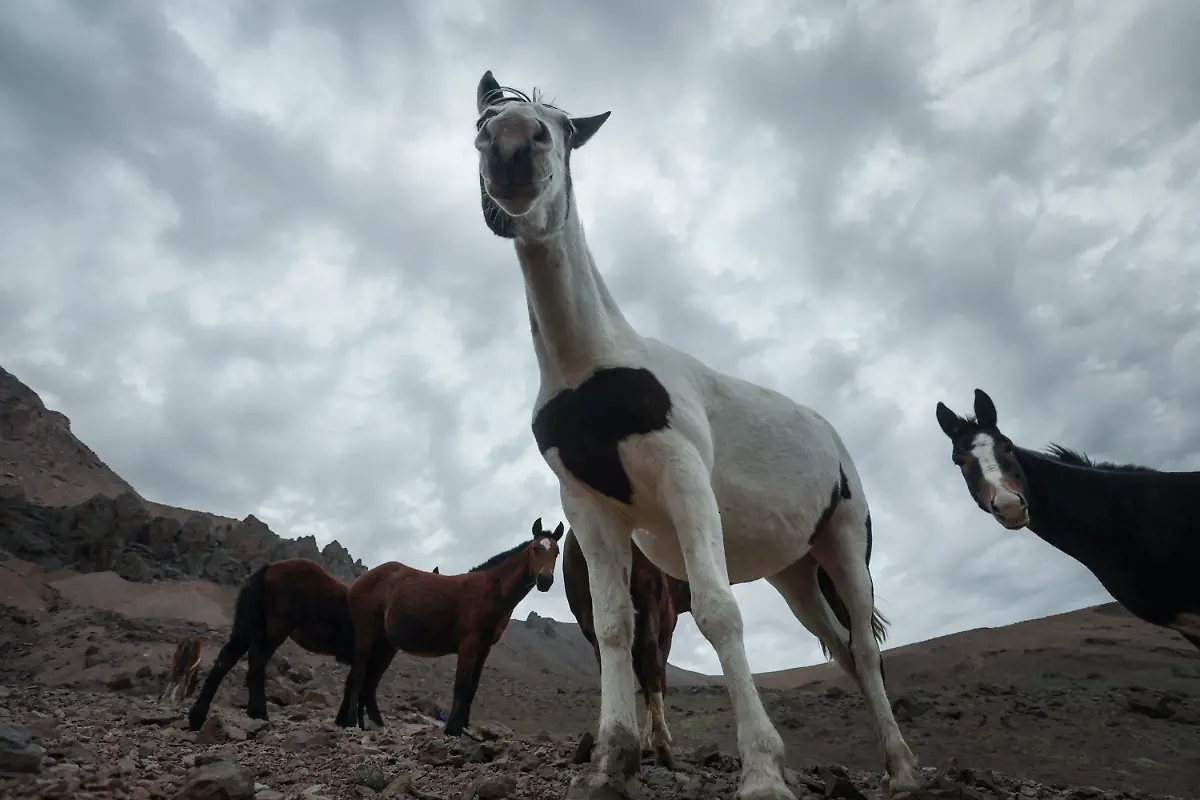 2024-07-18T101823Z-865371713-RC23Z6AJGZP3-RTRMADP-3-ANDES-CLIMATE-CHANGE-MOUNTAINEERING