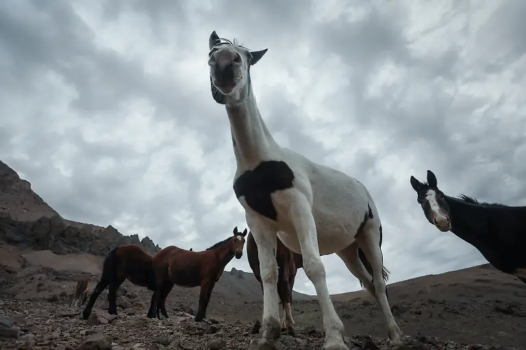 2024-07-18T101823Z-865371713-RC23Z6AJGZP3-RTRMADP-3-ANDES-CLIMATE-CHANGE-MOUNTAINEERING