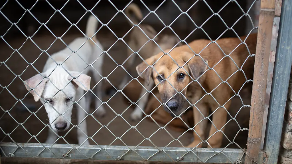 c0bb019e10cc191819a8cb5c45cc5afc