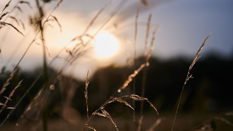 Fast 17 Stunden ist die Sonne um den 21. Juni zu sehen. 