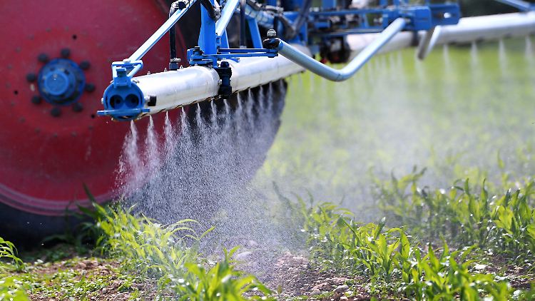 Die Bayer-Tochter Monsanto hat nicht ausreichend vor den Risiken des Unkrautvernichters Roundup gewarnt.