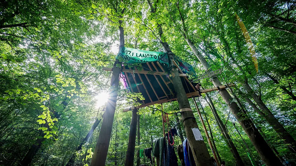 Aktivisten-haben-eine-Plattform-in-einem-Wald-bei-Langen-errichtet-Sie-protestieren-gegen-befuerchtete-Rodungen-zugunsten-von-Kiesabbau