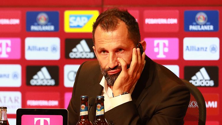 Hat sich in München seinen Respekt verdient: Hasan Salihamidžić.