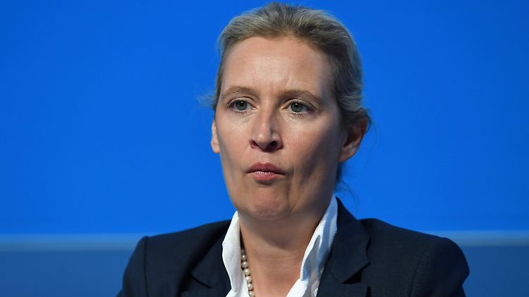 Auf die Leitung von Bundestagsausschüssen muss die AfD weiter warten. 
