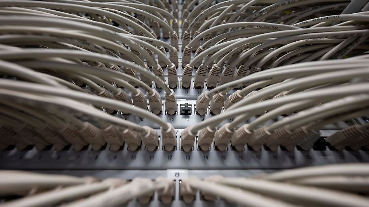 Netzwerkkabel in einem Rechenzentrum.