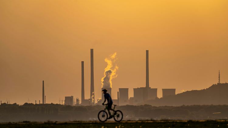 Die Kohlekraftwerke hätten schon vor Monaten Gas einsparen können, sagt Energieexperte Zachmann.