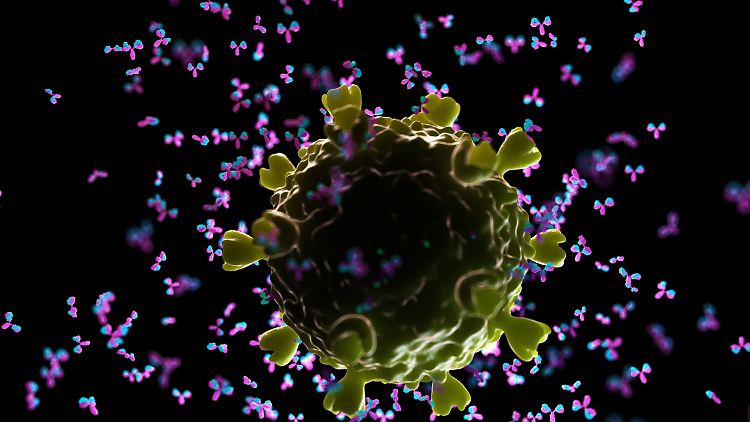 Die Illustration zeigt, wie Antikörper ein HI-Virus attackieren.