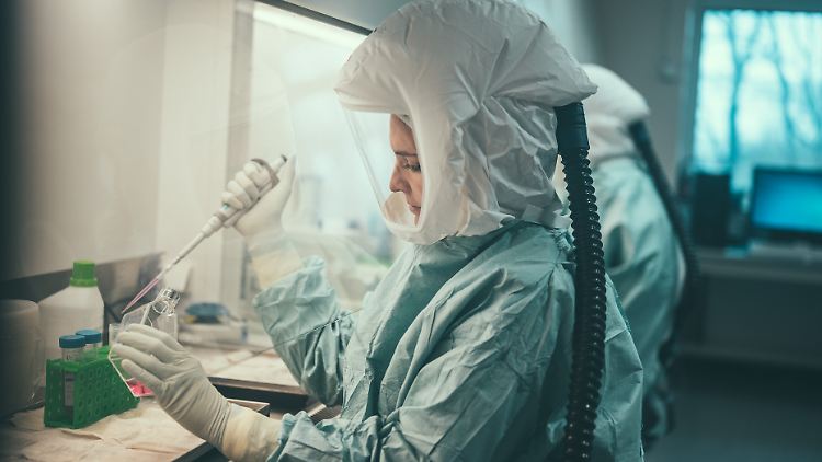 Auch in Deutschland sind Affenpocken-Infektionen nachgewiesen worden. 