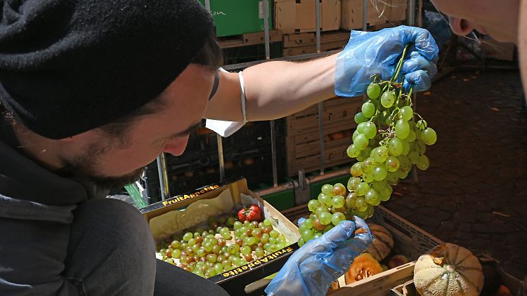 Foodsharing-Aktivist Paul schaut an einem Stand des Mainzer Wochenmarktes, ob die Weintrauben noch gut sind.