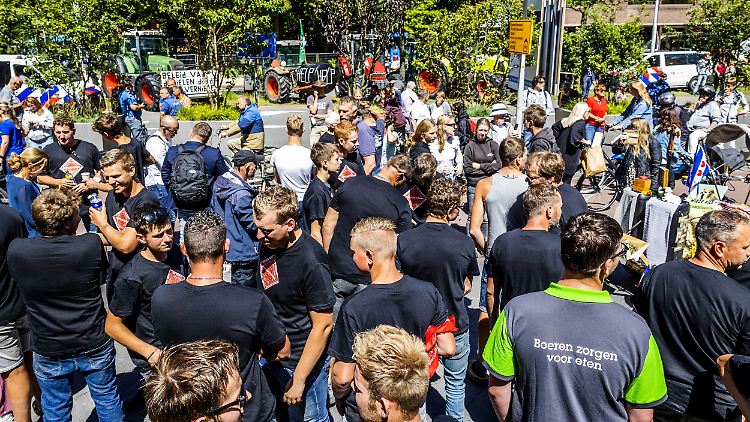 Am Dienstag zogen Landwirte mit Dutzenden von Treckern zum Parlament in Den Haag, wo die angekündigte Reduzierung von Stickstoff-Emissionen beraten werden sollte.