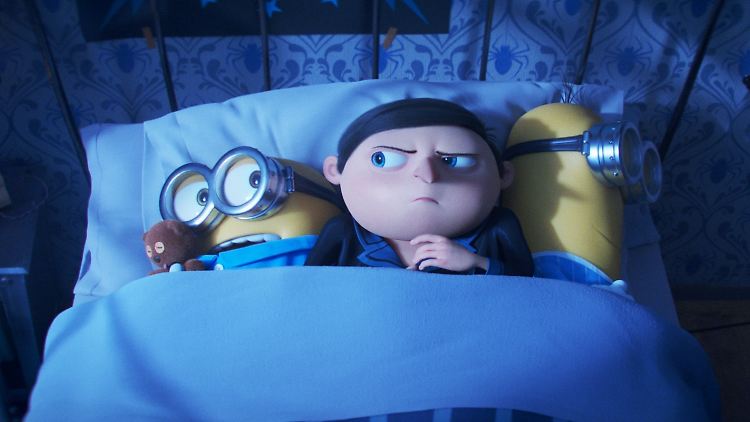 Sie lieben ihren "Mini-Boss": die Minions.