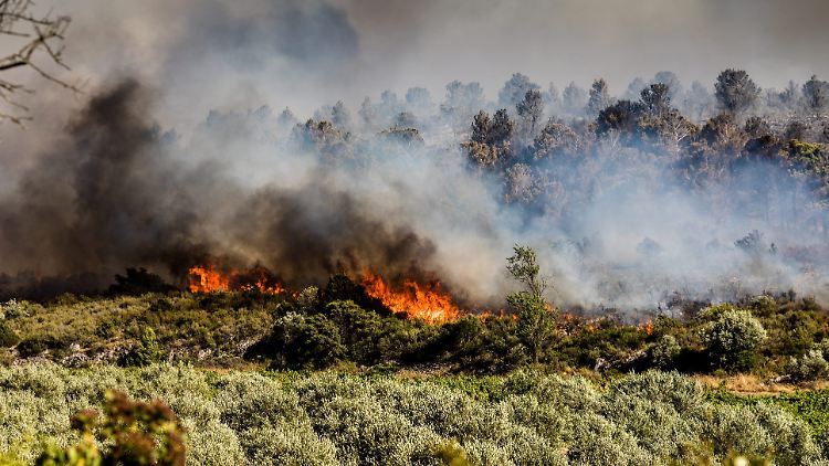 Feuer wie dieses Ende Juni suchen auch Südwestfrankreich immer häufiger heim.