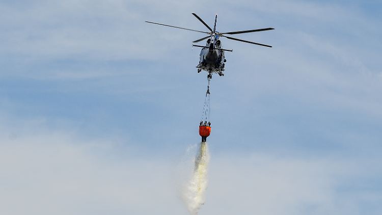 Zuletzt brannte es in der Lieberoser Heide 2019 - auf damals etwa 100 Hektar.