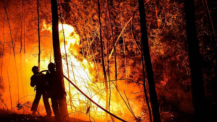 Die besonders trockene und heiße Wetterlage in der Bundesrepublik führt zu einer höheren Gefahr für Waldbrand. 