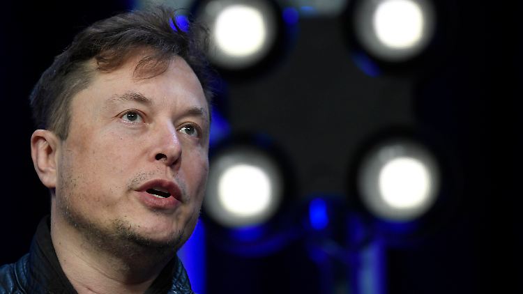 In seiner Familie gehört Kinderkriegen zum Alltag: Elon Musk.
