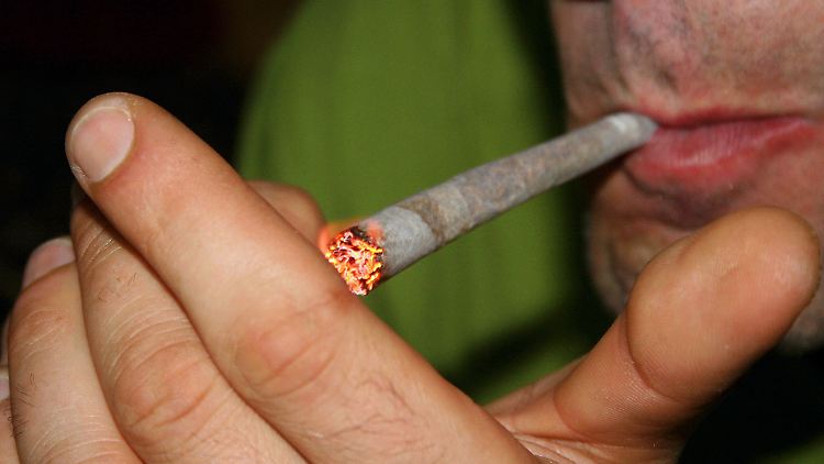 Durch Züchtungen ist der THC-Gehalt immer weiter angestiegen.