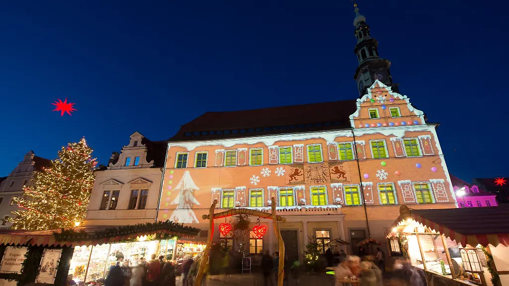 In-Pirna-wird-schon-jetzt-ein-Weihnachtsbaum-fuer-den-Weihnachtsmarkt-gesucht