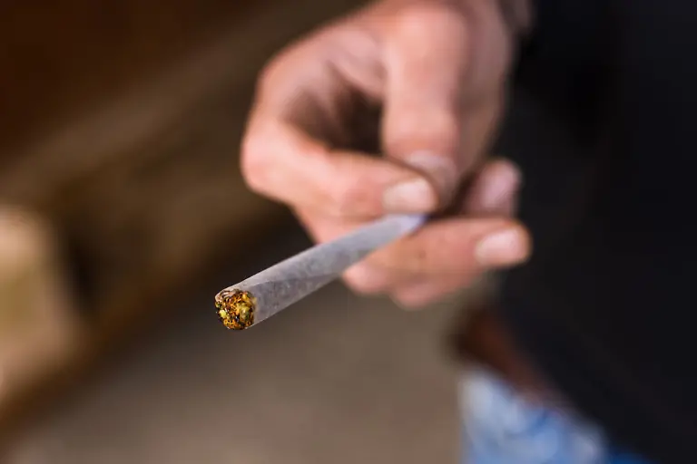 Test-von-ADAC-und-Auto-Bild-Erst-rund-20-Stunden-nach-dem-Konsum-waren-die-Probanden-in-der-Lage-sicher-und-legal-am-Strassenverkehr-teilzunehmen