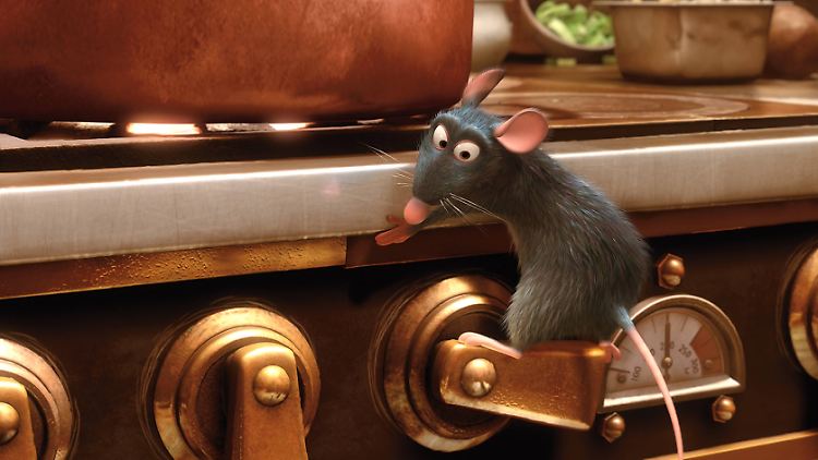 Eine Ratte ist nur im Kino lustig, hat aber immerhin dafür gesorgt, dass jeder weiß, was eine Ratatouille ist. Mehr oder weniger ....