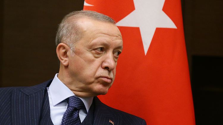 Der türkische Präsident Erdogan versucht, auf seinen Amtskollegen im Kreml einzuwirken.