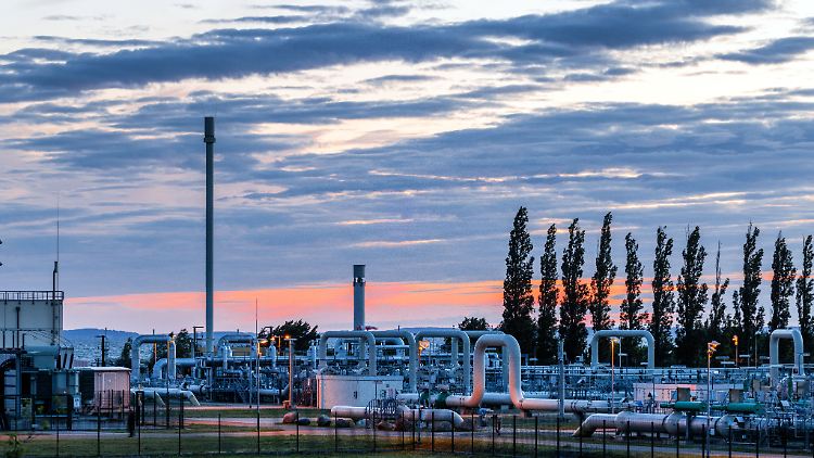 Die Gasempfangsstation der Ostseepipeline Nord Stream 1 in Lubmin. Wegen Wartungsarbeiten kommt dort aktuell kein Gas an - ob Russland die Pipeline danach wieder öffnet, ist unklar.