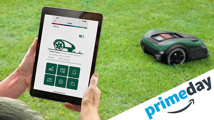 Bosch Indego M+ 700: Der smarte Rasenmäher-Roboter ist zum Prime Day besonders günstig.