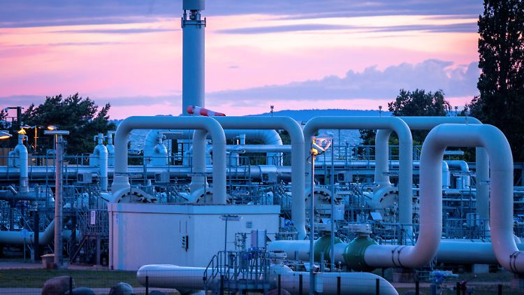 Wenn Nord Stream 1 gewartet ist, kommt dann in Lubmin wieder russisches Gas an? Und wenn ja, wie viel?